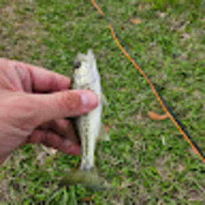 Meet your Posher, Chace